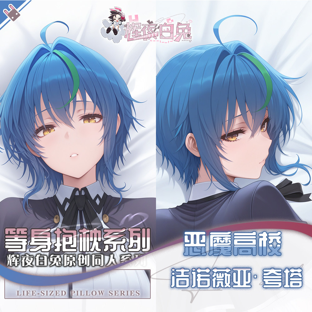 Body Pillow Cover - Dakimakura Yastık Kılıfı Anime Lise DxD
